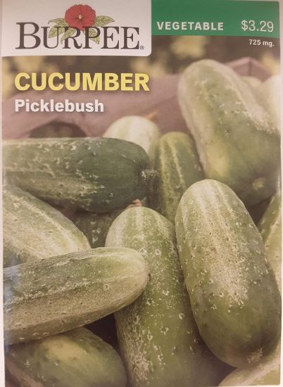 Picture of Cucumber Picklebush