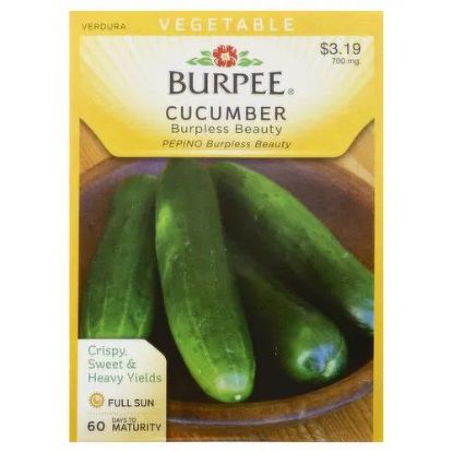 Picture of Cucumber Burpless Beauty