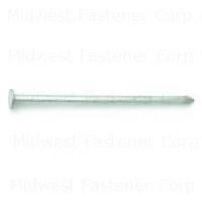Picture of Galvanized-Steel Common-Nail 8D-2-1/2"