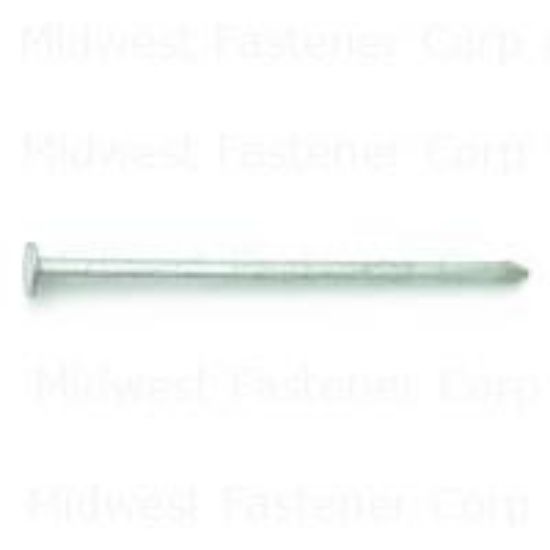 Picture of Galvanized-Steel Common-Nail 8D-2-1/2"