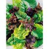 Picture of Mesclun Salad Seeds