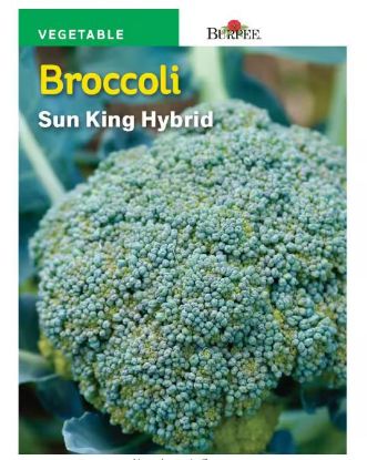 Picture of Sun King Broccoli Seeds