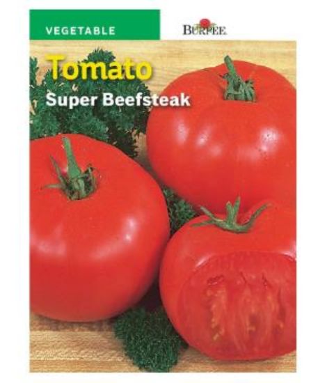 Picture of Tomato Giant Super Beefsteak
