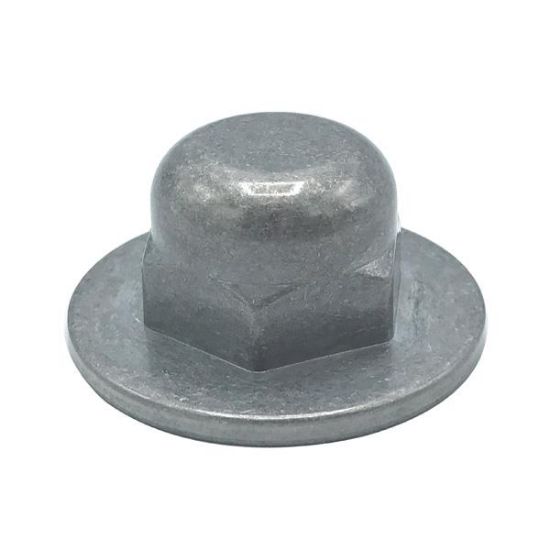 Picture of Wall-hung Toilet-carrier Caps Standard