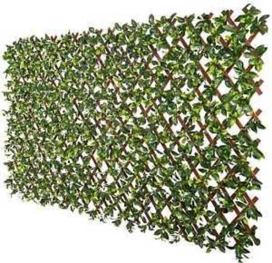 Picture of Privacy-screen Leafy Green Trellis 36" X 72"
