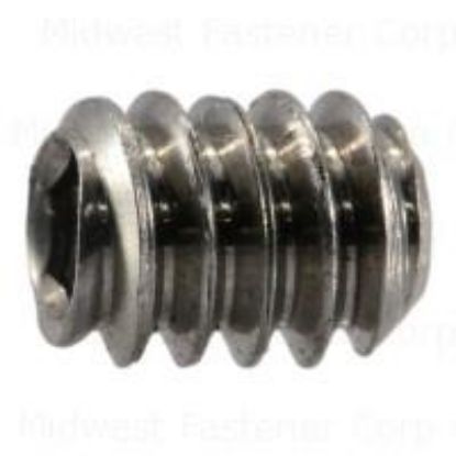 Picture of Stainless Socket-hex-drive Set-screw 10-24 X 1/4