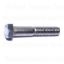 Picture of Cap-Bolt Stainless-Steel 3/8"-16 x 2"