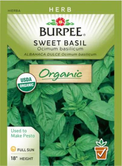 Picture of Organic Sweet Basil Seeds Organic