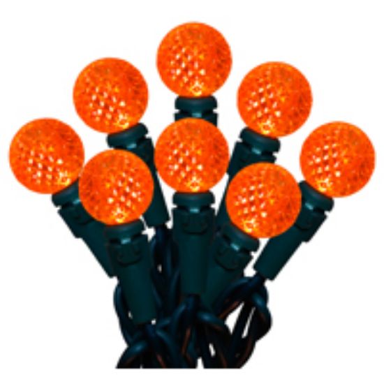 Picture of Christmas-Lights 70 G-12m