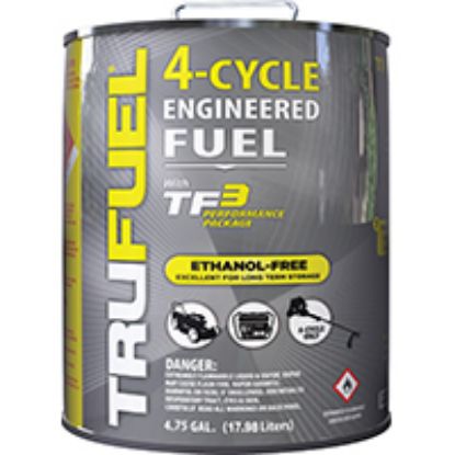 Picture of Fuel 4.75 gal Can